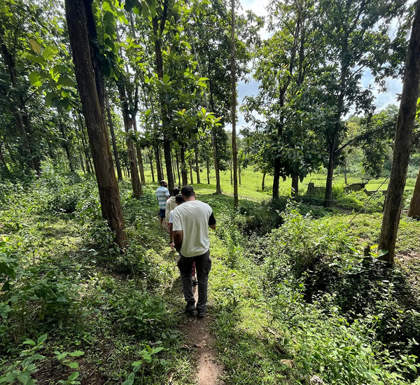 Tribal & Wildlife Immersion - WAYANAD ( 19th -20th July 2025 )