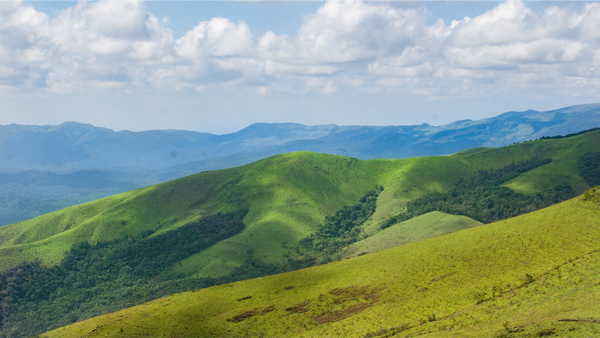 Bangalore to Chikkamagaluru - 2 Day Tour (Aug 31st - Sept 1st)