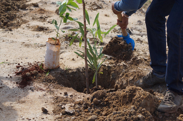 Ride for a Cause - Plant Saplings - 14th July 2024