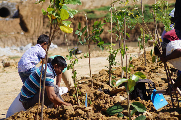 Ride for a Cause - Plant Saplings - 14th July 2024