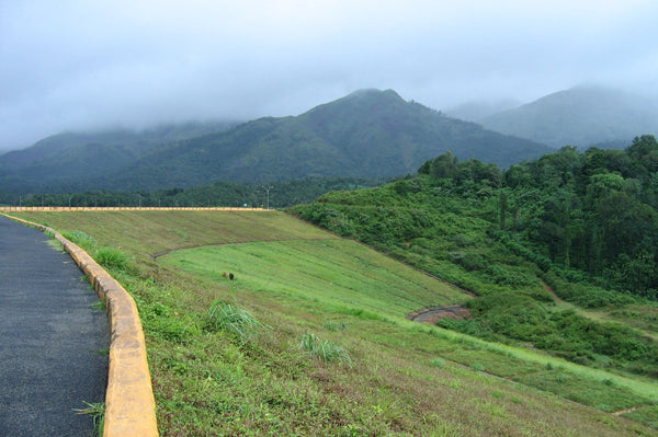 Wayanad Tour (Sept 6th - 8th)